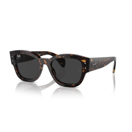 Ray-Ban Jorge RB 7681S (902/48)