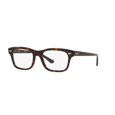 Ray-Ban Mr Burbank RX 5383 (2012) - RB 5383 2012