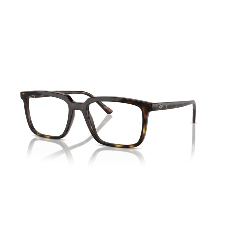 Ray-Ban Alain RX 7239 (2012) - RB 7239 2012
