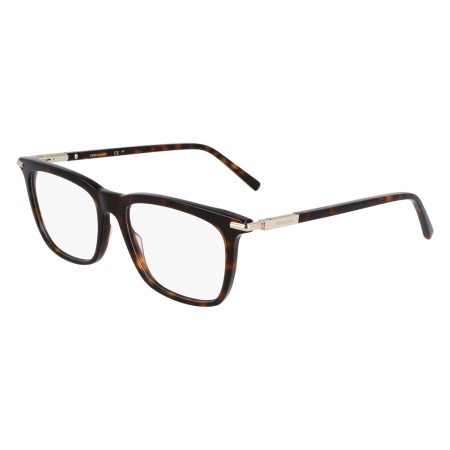 Salvatore Ferragamo SF3007 (242)