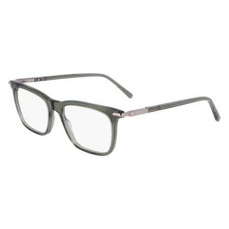 Salvatore Ferragamo SF3007 (317)
