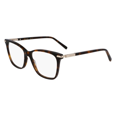 Salvatore Ferragamo SF3013 (242)