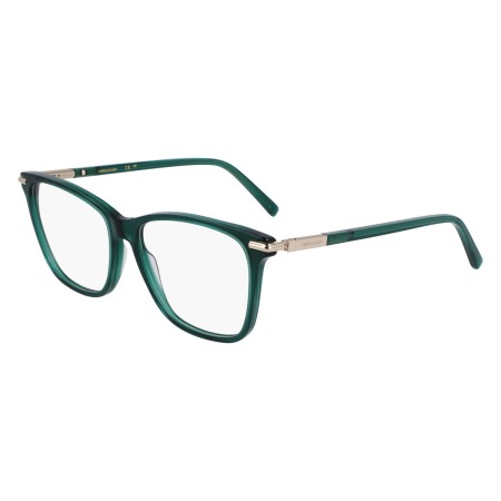 Salvatore Ferragamo SF3013 (317)
