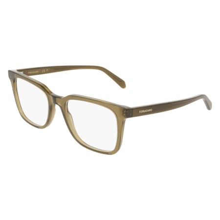 Salvatore Ferragamo SF3067 (320)