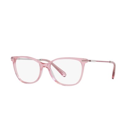 Swarovski SK 2010 (3001)