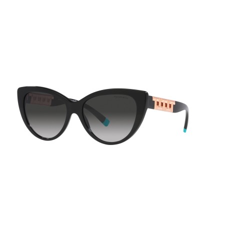 Tiffany TF 4196 (80013C)