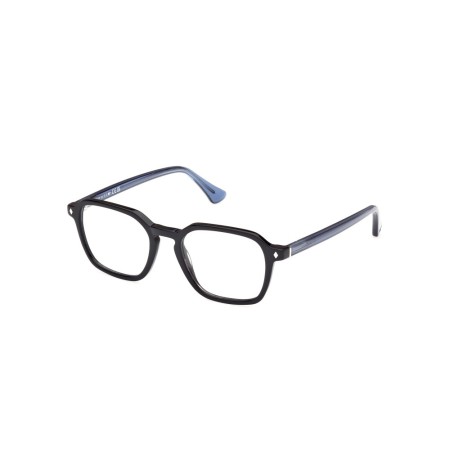 Web WE5428 (005)
