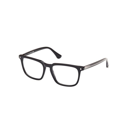 Web WE5430 (001)