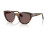 Persol PO 3379S (105253)