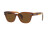Ray-Ban RB 0880S (664057)