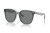 Ray-Ban RB 4423D (645087)