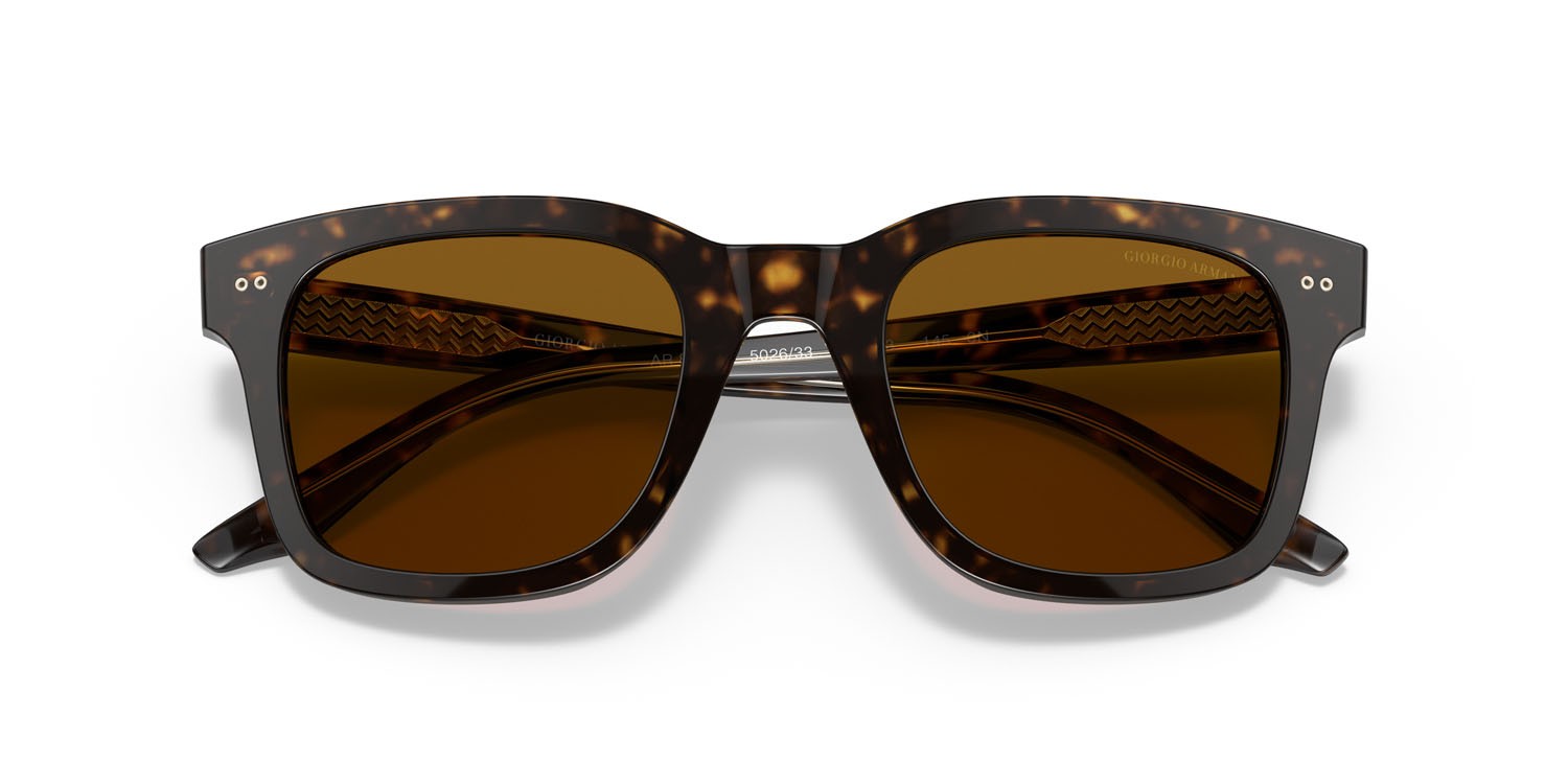Sonnenbrillen Giorgio Armani AR 8138 (502633) farbe havana form rechteckig gläser marrone