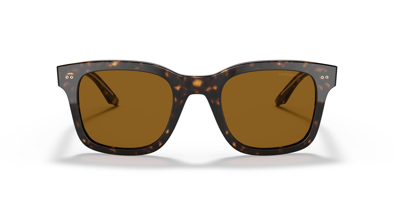 Sonnenbrillen Giorgio Armani AR 8138 (502633) farbe havana form rechteckig gläser marrone
