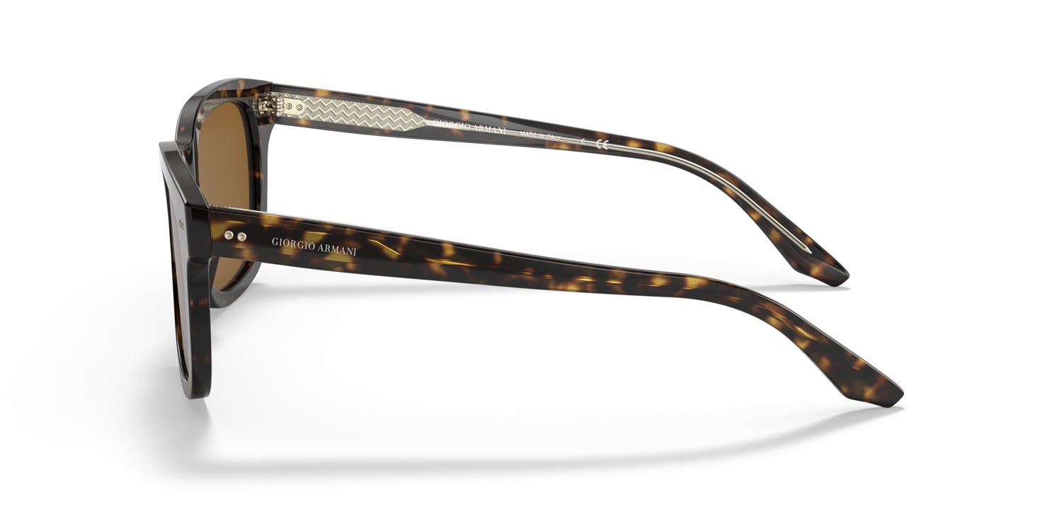 Sonnenbrillen Giorgio Armani AR 8138 (502633) farbe havana form rechteckig gläser marrone