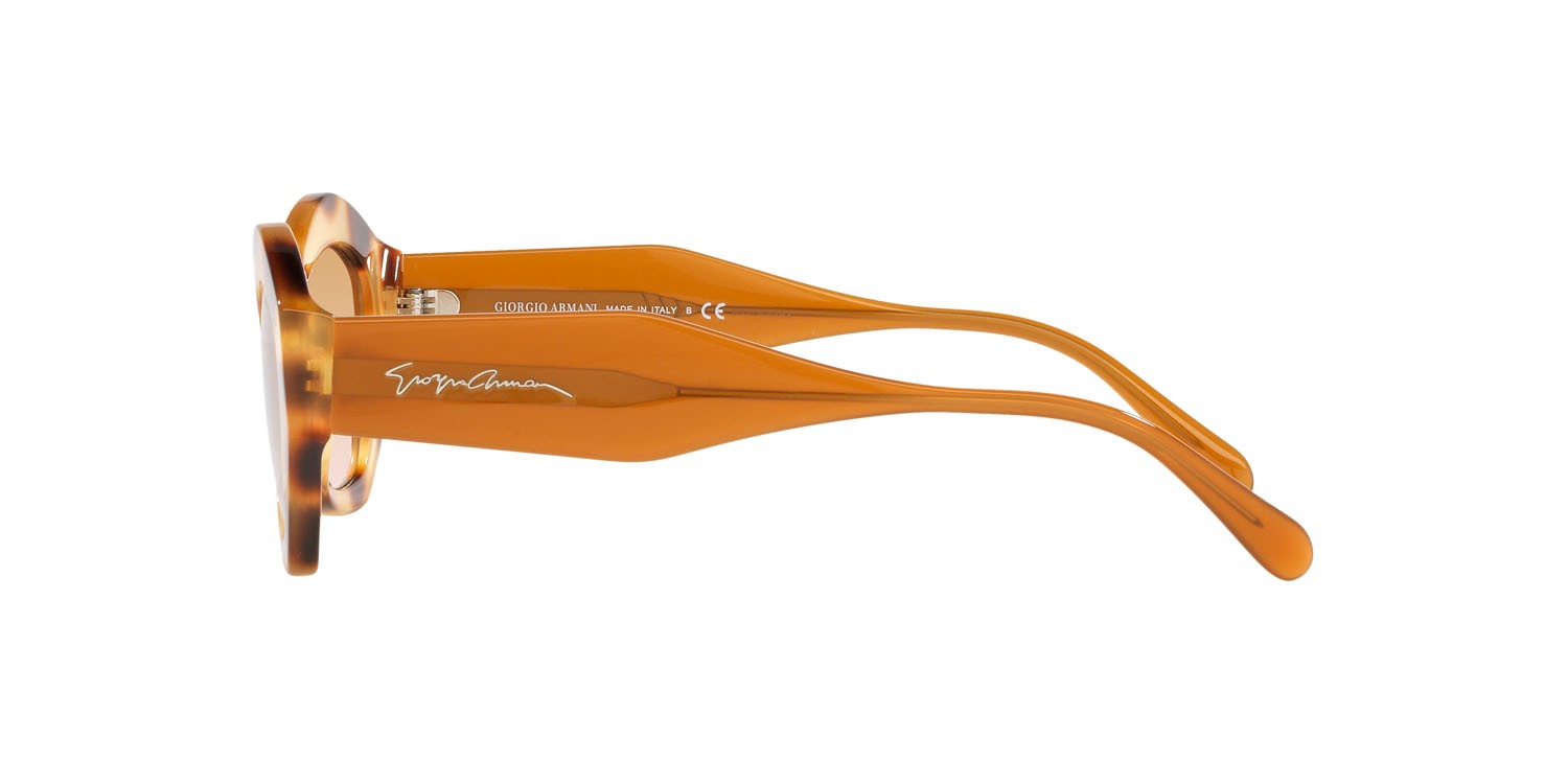 Sonnenbrillen Giorgio Armani AR 8144 (588013) farbe tartarugato marrone form unregelmäßig gläser trasparente sfumato marrone chiaro