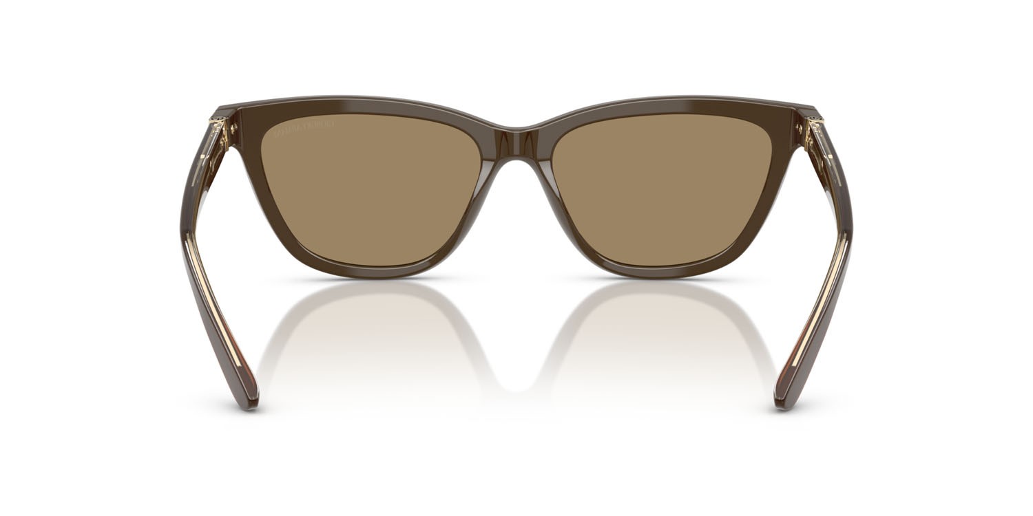 Sunglasses Giorgio Armani AR 8221 (595753) color marrone shape cat eye lenses marrone