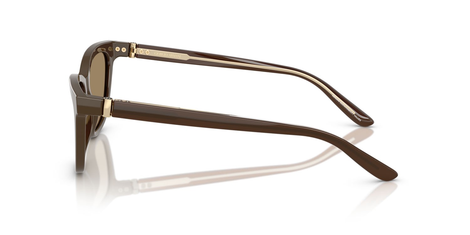 Sunglasses Giorgio Armani AR 8221 (595753) color marrone shape cat eye lenses marrone