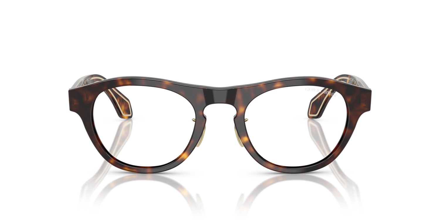 Sunglasses Giorgio Armani AR 8225 (50261W) color havana shape oval lenses trasparente