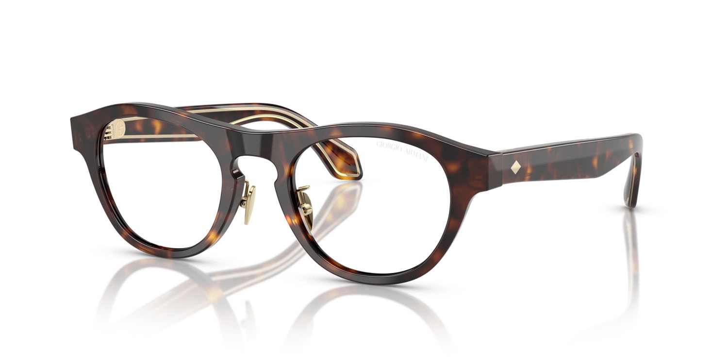 Sunglasses Giorgio Armani AR 8225 (50261W) color havana shape oval lenses trasparente