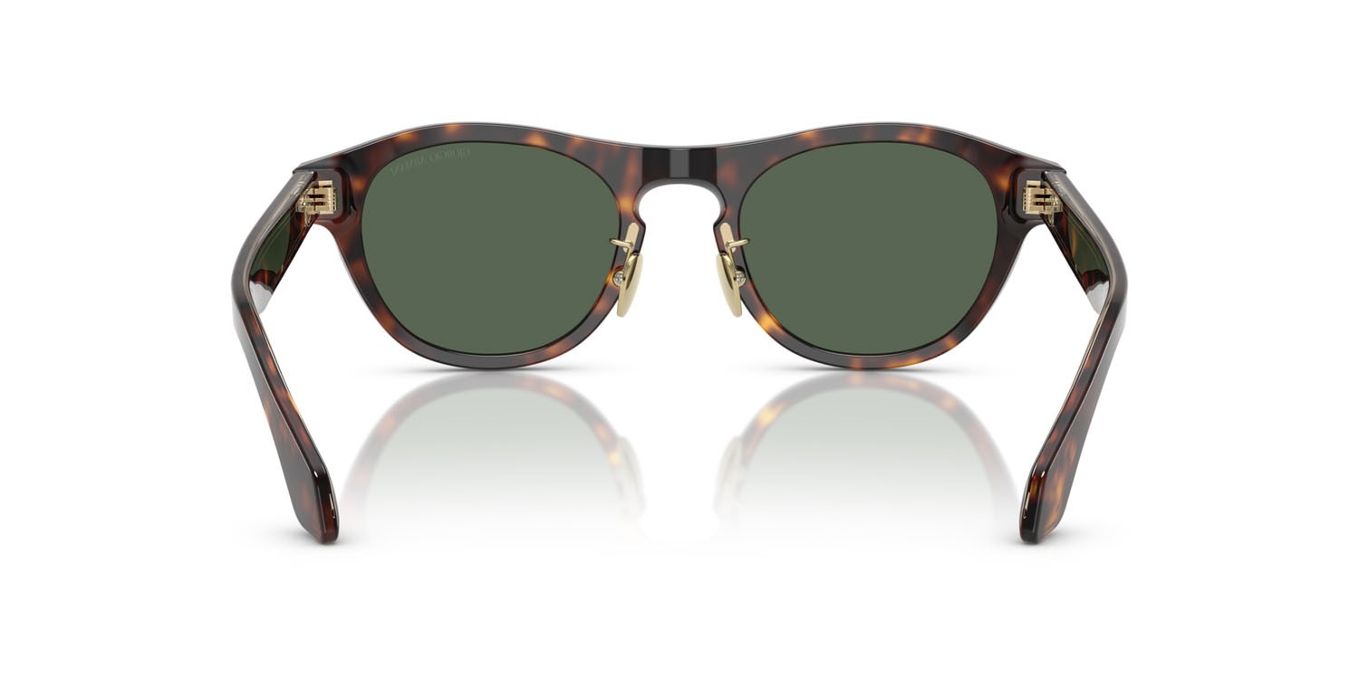 Sunglasses Giorgio Armani AR 8225 (502671) color havana shape oval lenses verde scuro