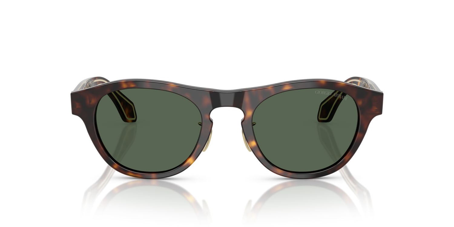 Sunglasses Giorgio Armani AR 8225 (502671) color havana shape oval lenses verde scuro