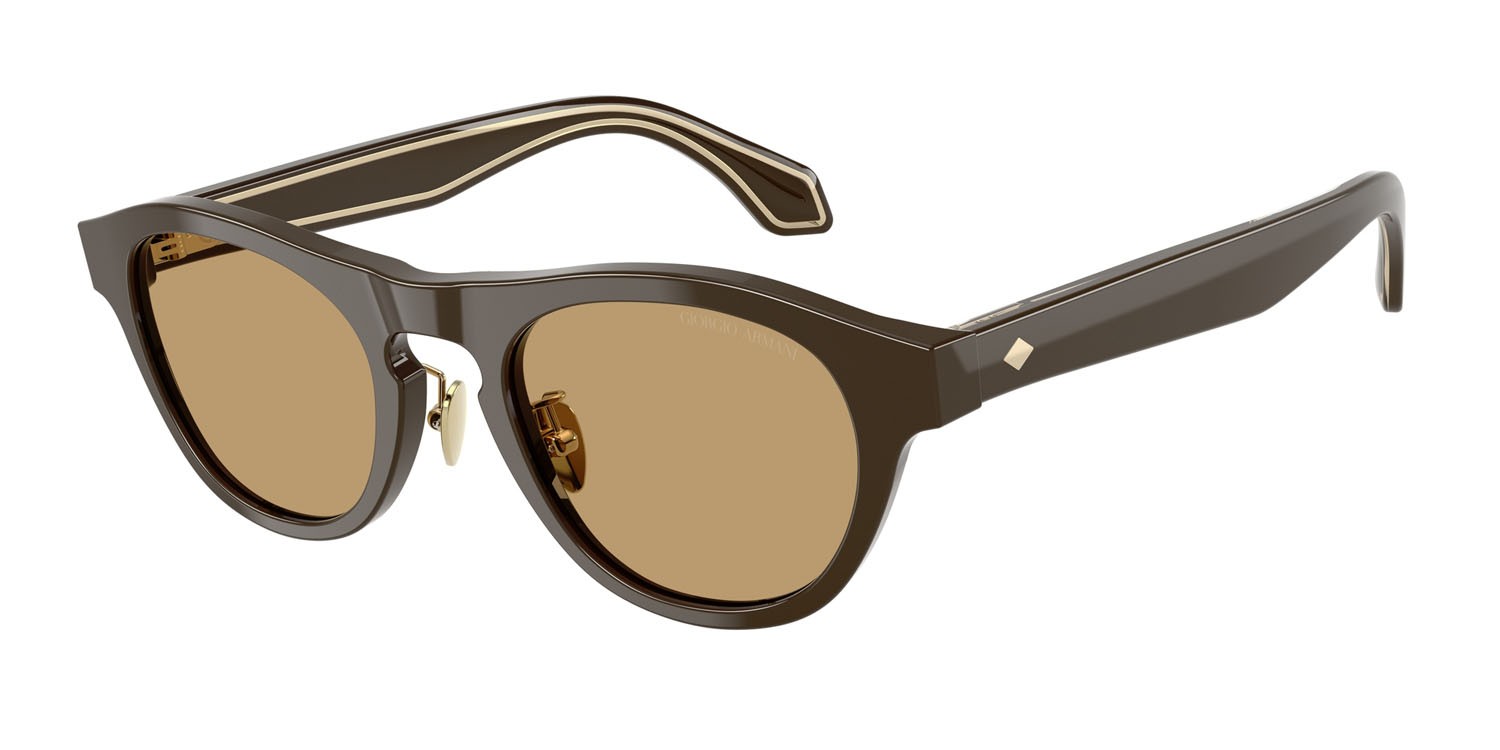 Sunglasses Giorgio Armani AR 8225 (619473) color marrone scuro tinta unita shape oval lenses marrone