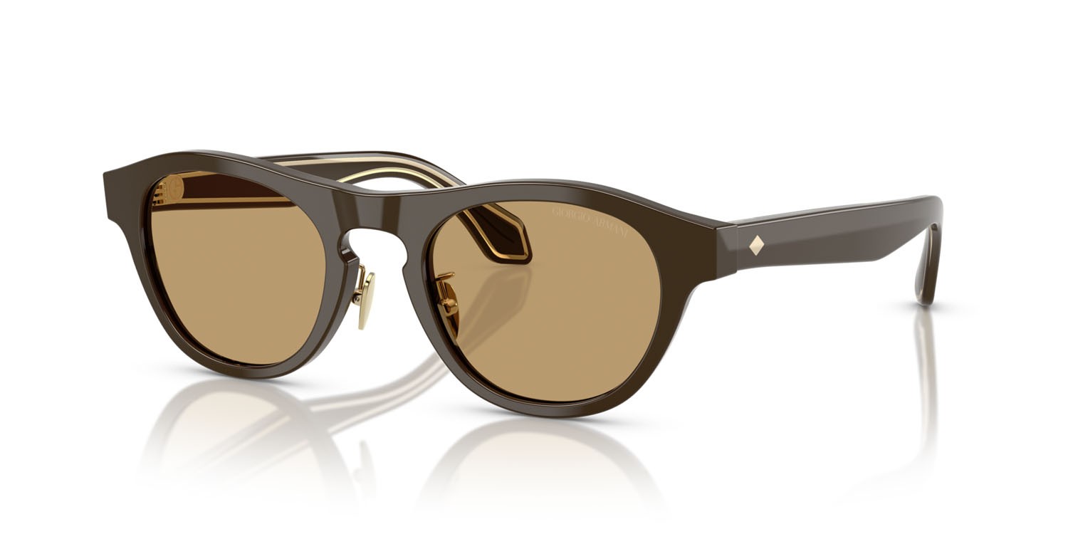 Sunglasses Giorgio Armani AR 8225 (619473) color marrone scuro tinta unita shape oval lenses marrone
