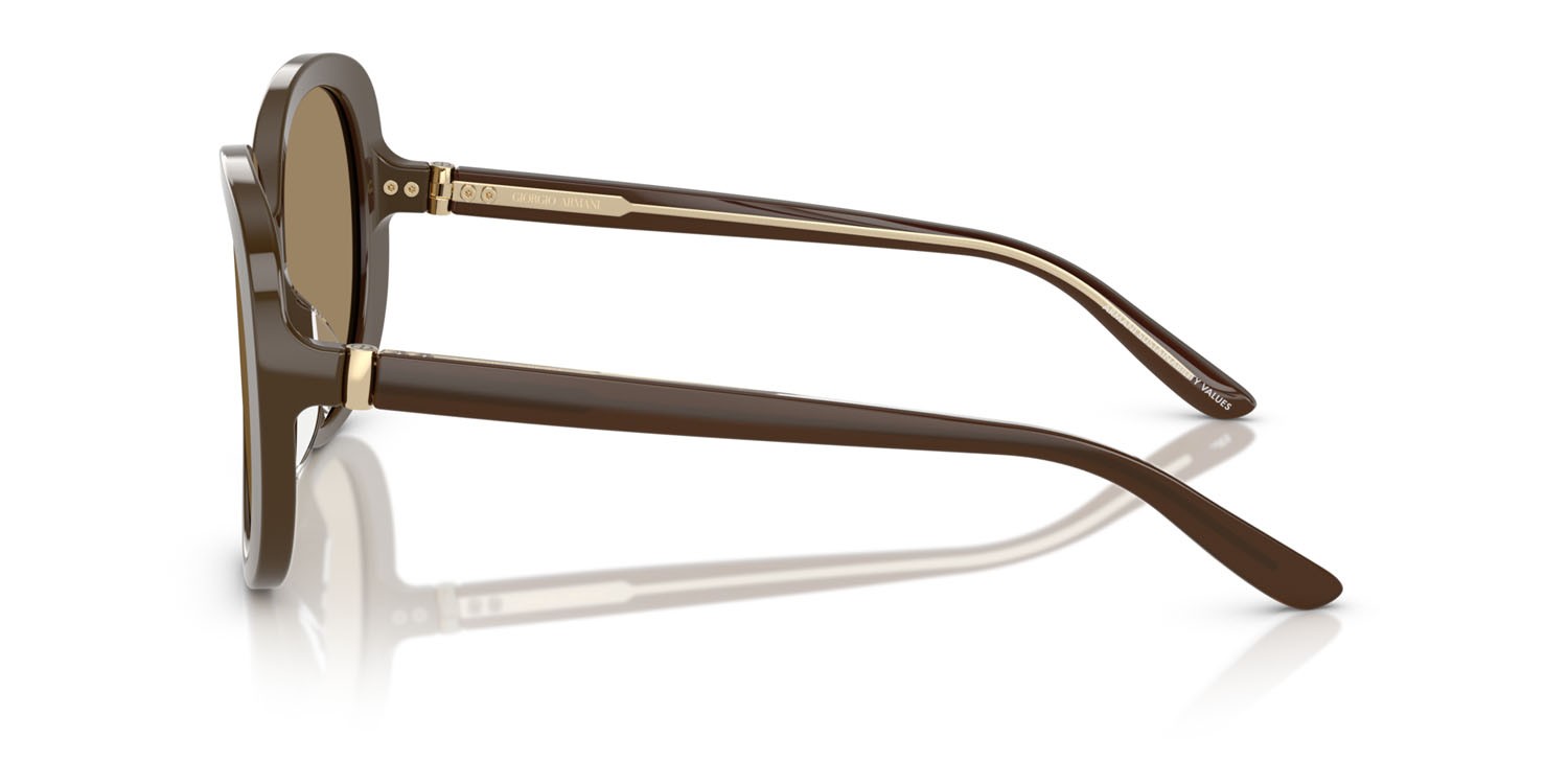 Occhiali da sole Giorgio Armani AR 8229U (595753) colore marrone forma rotondo lenti marrone