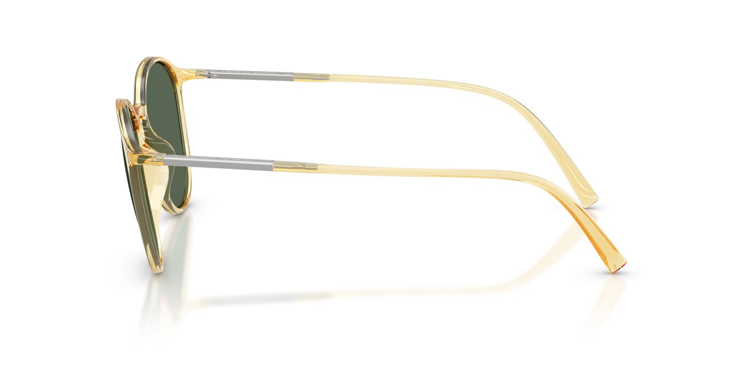 Occhiali da sole Giorgio Armani AR 8233U (623871) colore miele forma pantos lenti verde scuro