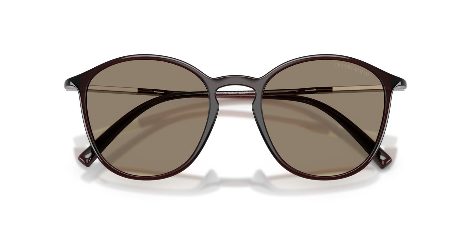 Sunglasses Giorgio Armani AR 8233U (6239M4) color marrone shape pantos lenses photochromatic brown