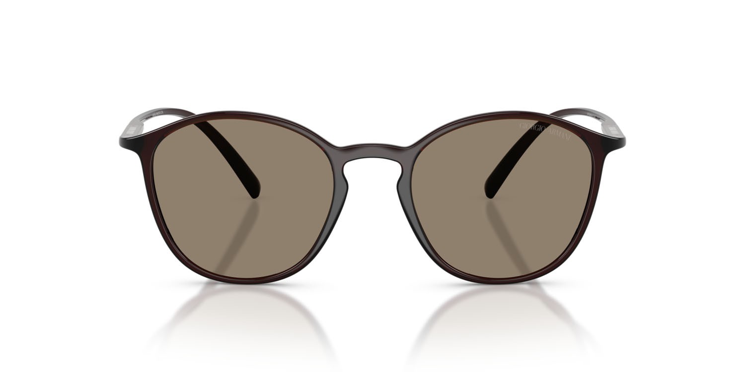 Sunglasses Giorgio Armani AR 8233U (6239M4) color marrone shape pantos lenses photochromatic brown