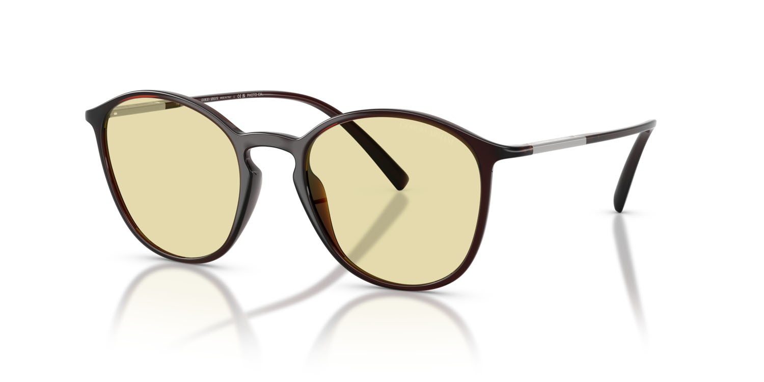 Sunglasses Giorgio Armani AR 8233U (6239M4) color marrone shape pantos lenses photochromatic brown