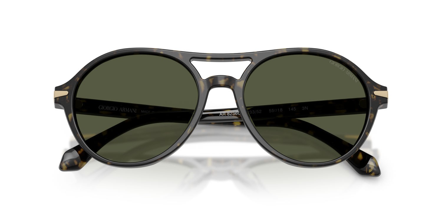 Sunglasses Giorgio Armani AR 8236U (623352) color havana verde shape round lenses verde