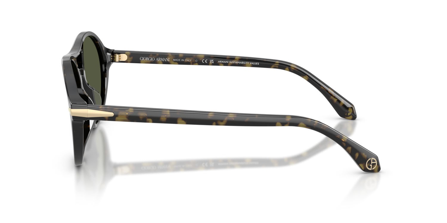 Sunglasses Giorgio Armani AR 8236U (623352) color havana verde shape round lenses verde