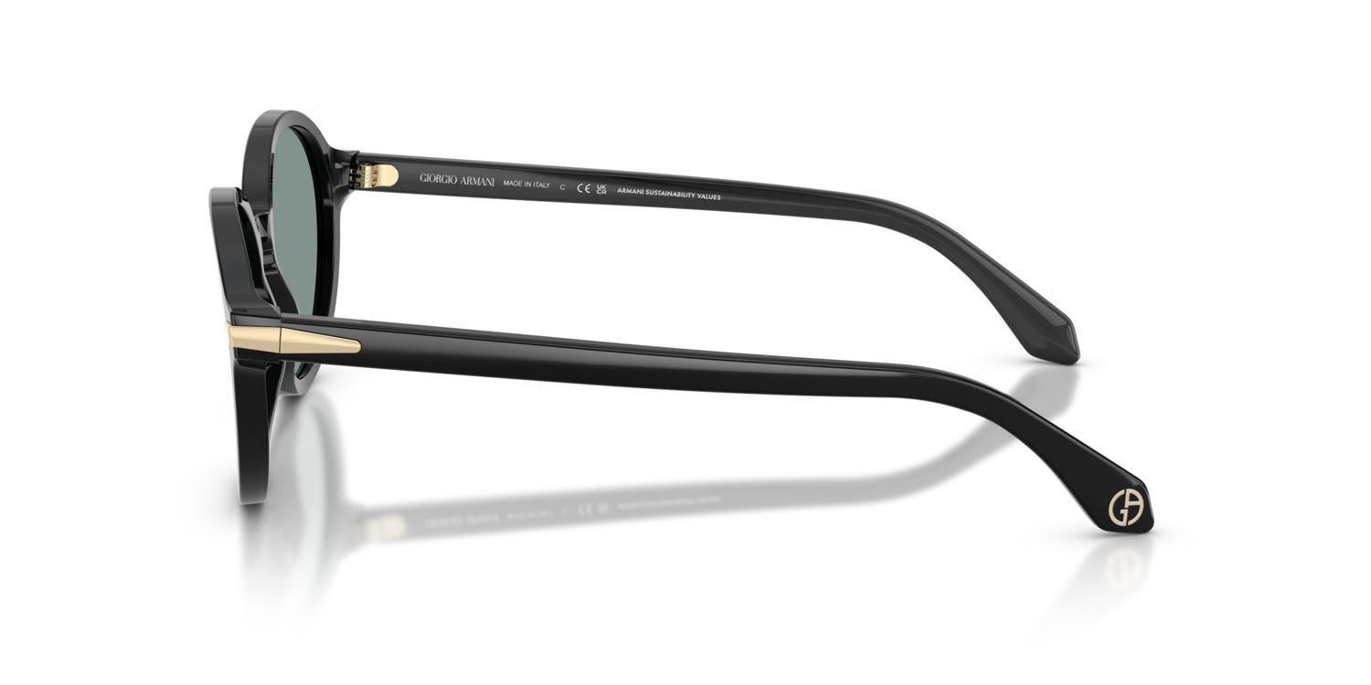 Sunglasses Giorgio Armani AR 8237 (587556) color nero shape oval lenses grey vintage blue