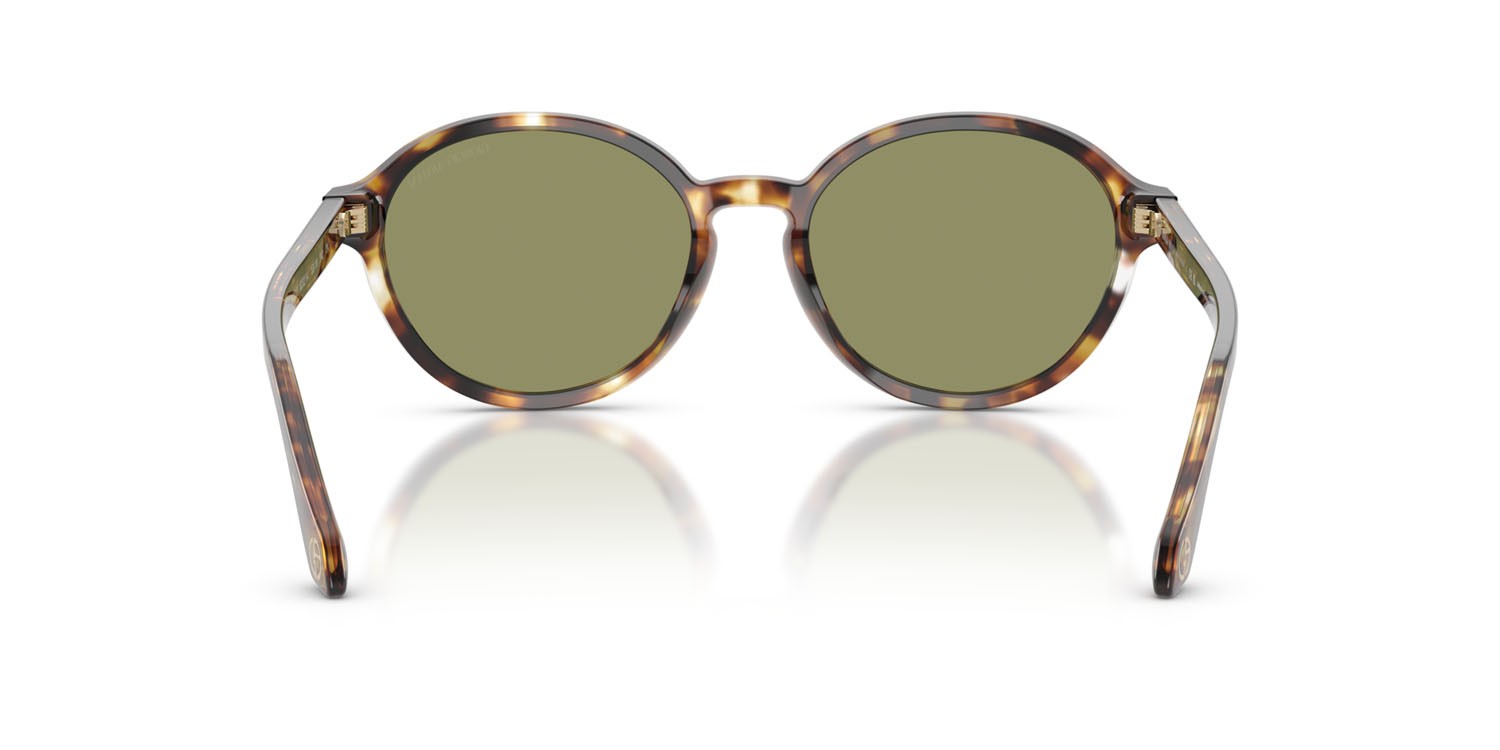 Sunglasses Giorgio Armani AR 8237 (623214) color avana giallo shape oval lenses verde