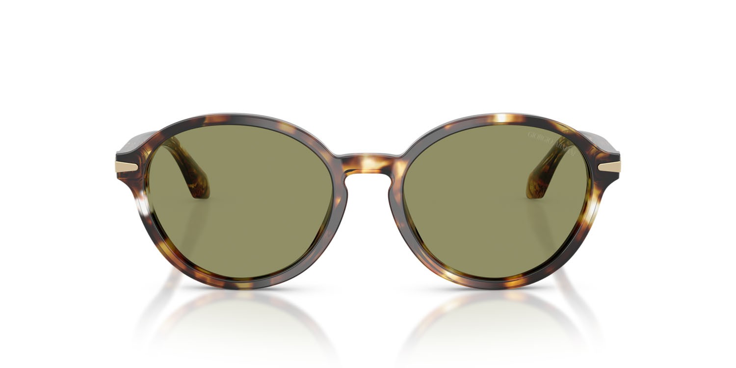 Sunglasses Giorgio Armani AR 8237 (623214) color avana giallo shape oval lenses verde