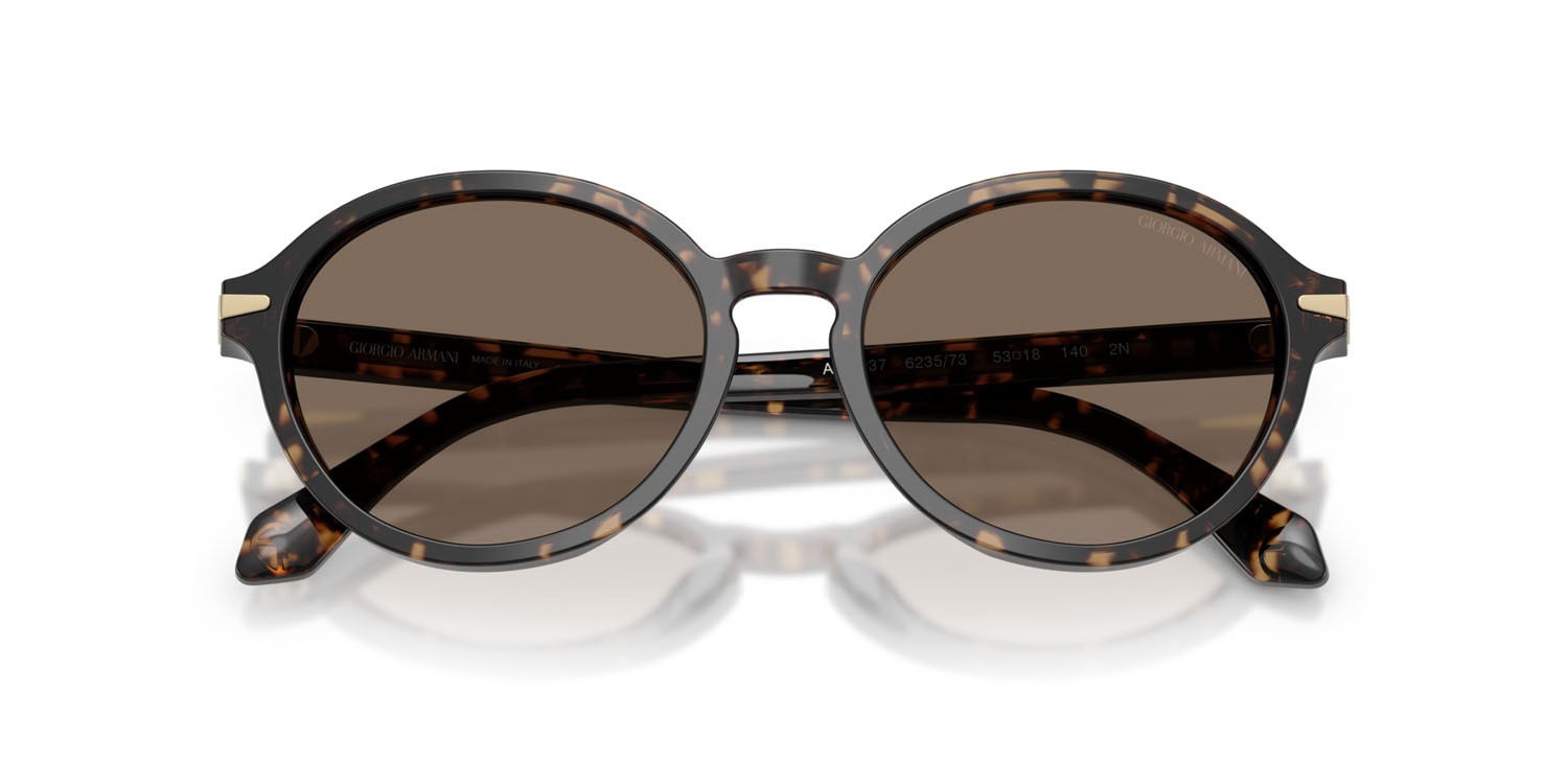 Sunglasses Giorgio Armani AR 8237 (623573) color havana beige shape oval lenses marrone