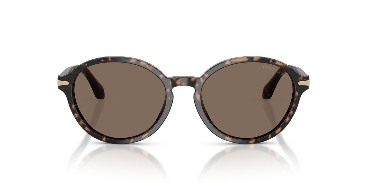 Sunglasses Giorgio Armani AR 8237 (623573) color havana beige shape oval lenses marrone