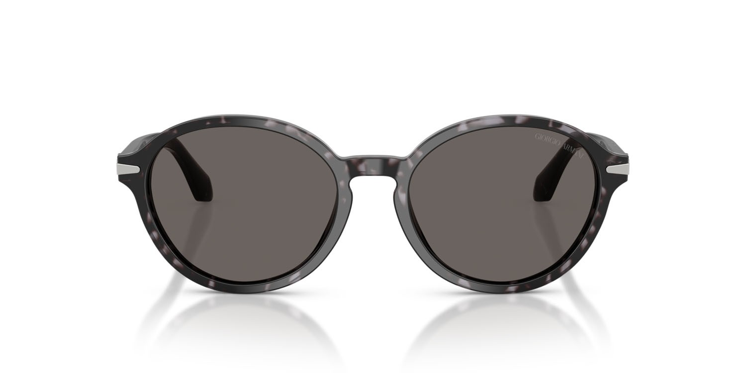 Sunglasses Giorgio Armani AR 8237 (6236B1) color havana grigio shape oval lenses grigio scuro