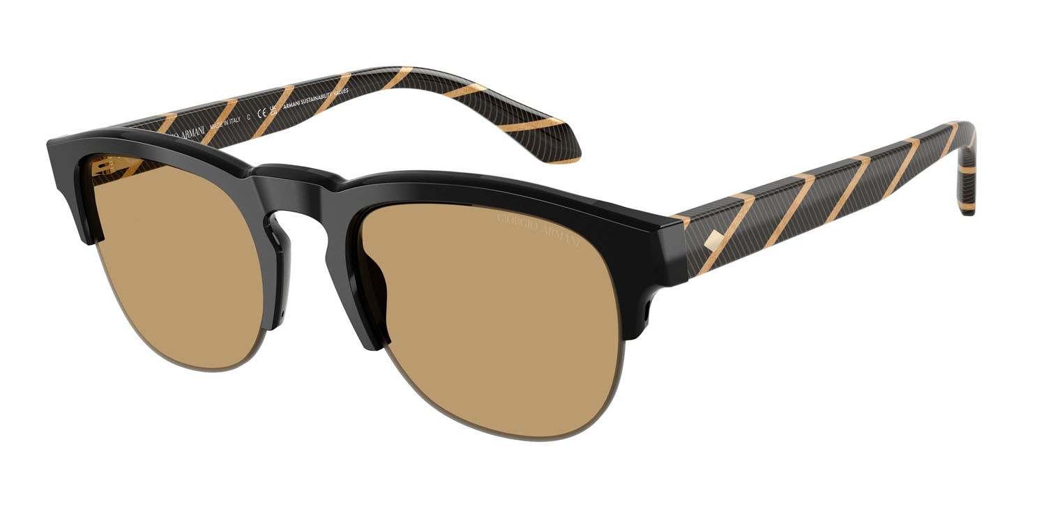 Sunglasses Giorgio Armani AR 8238 (587573) color nero shape pantos lenses marrone