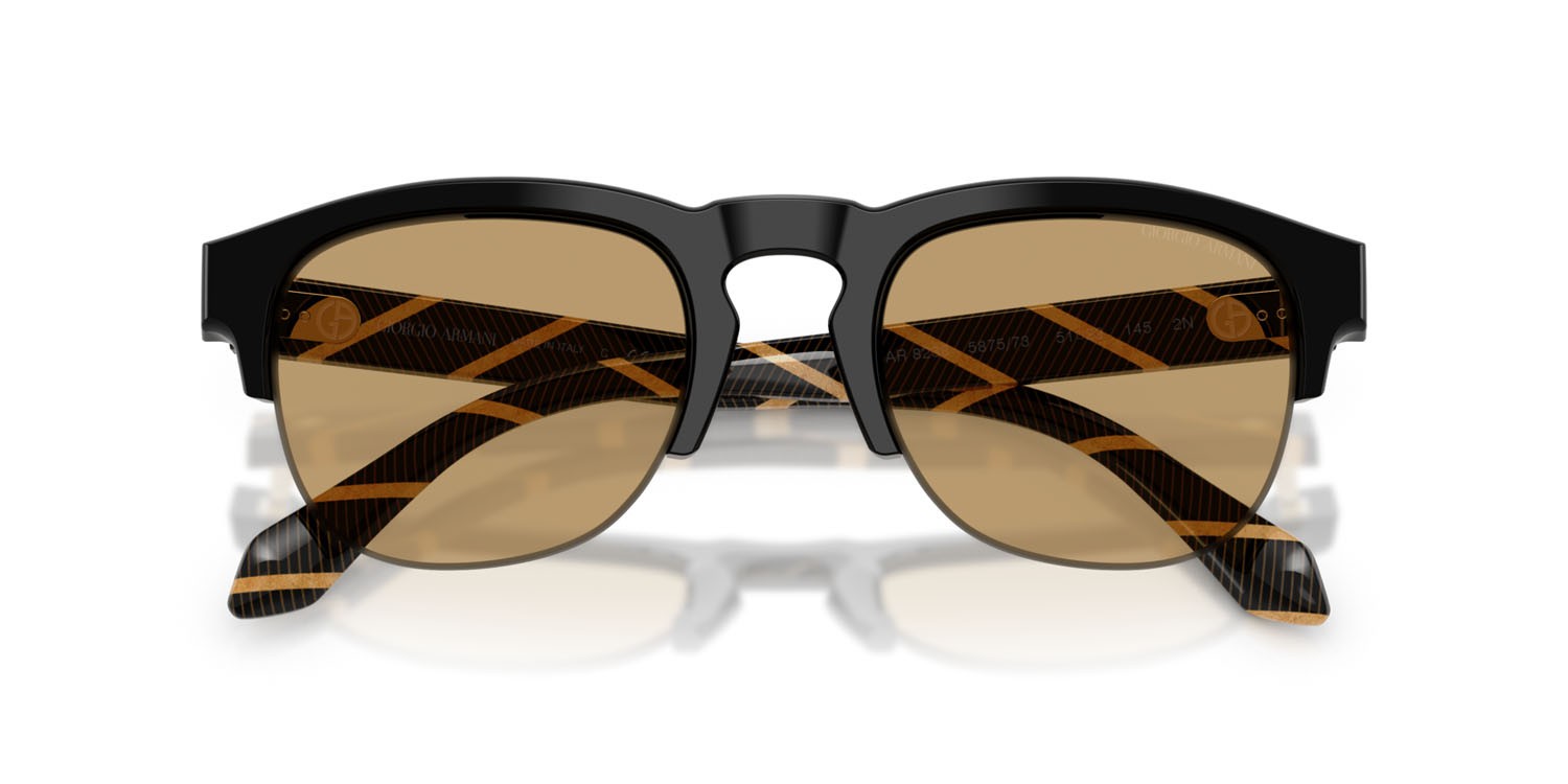 Sunglasses Giorgio Armani AR 8238 (587573) color nero shape pantos lenses marrone