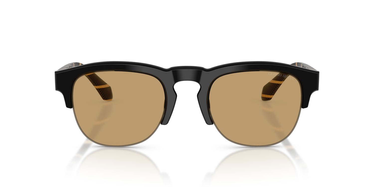 Sunglasses Giorgio Armani AR 8238 (587573) color nero shape pantos lenses marrone