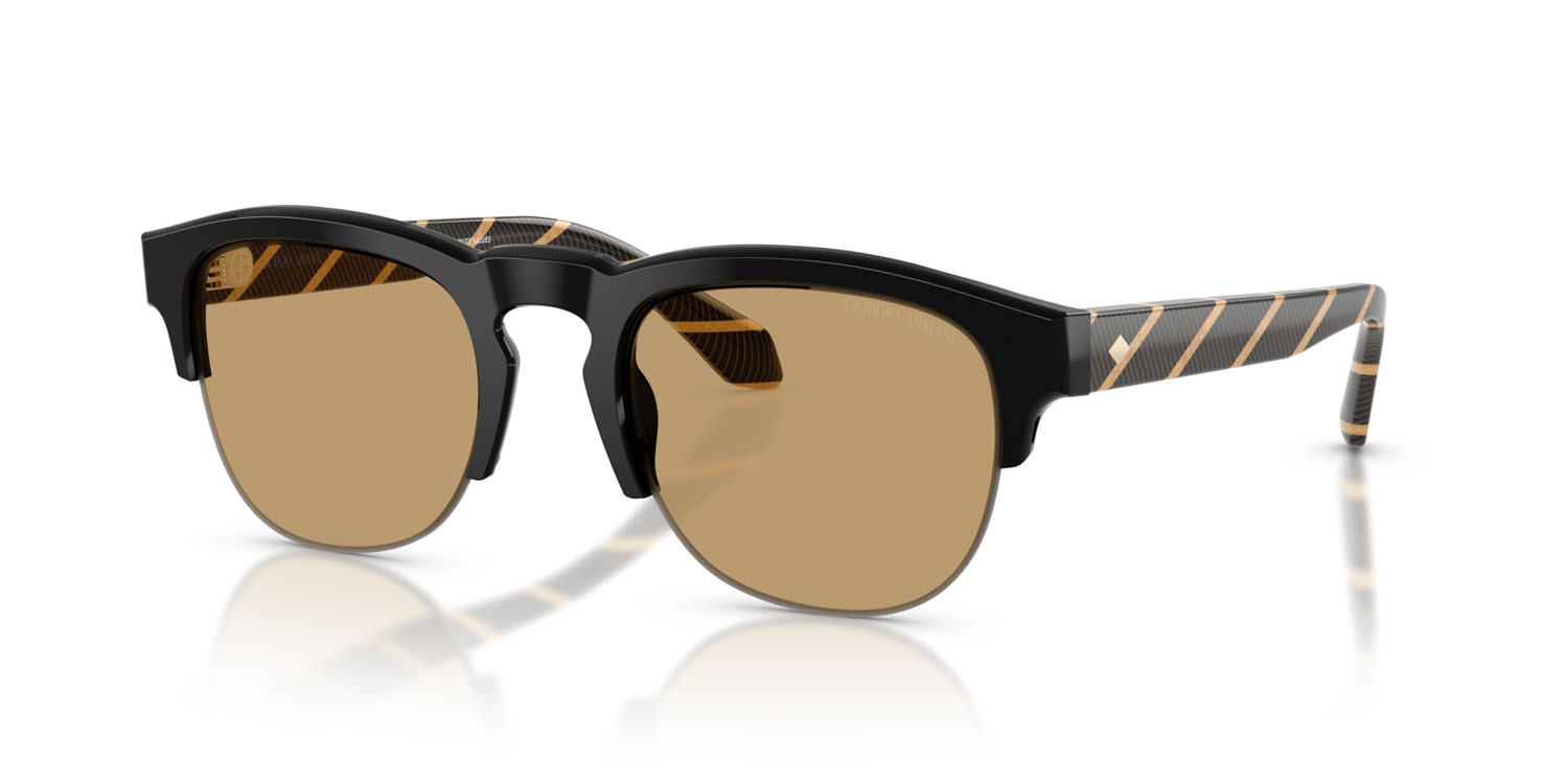 Sunglasses Giorgio Armani AR 8238 (587573) color nero shape pantos lenses marrone