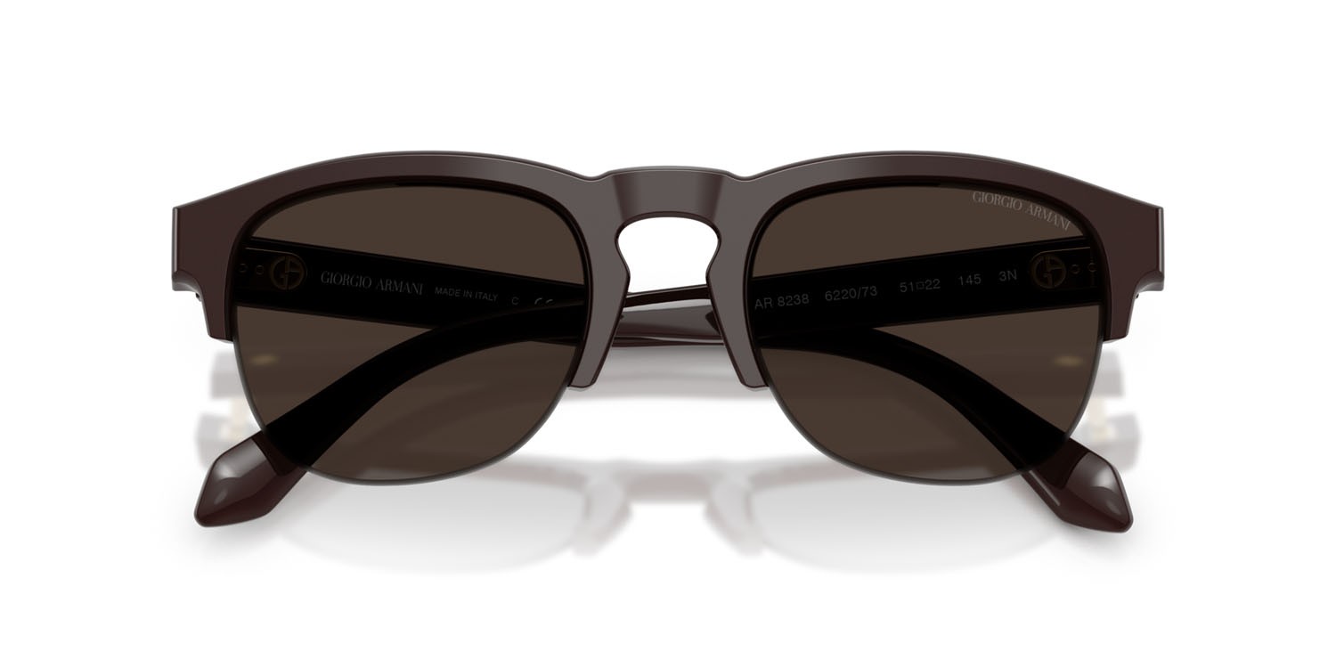 Occhiali da sole Giorgio Armani AR 8238 (622073) colore marrone forma pantos lenti marrone