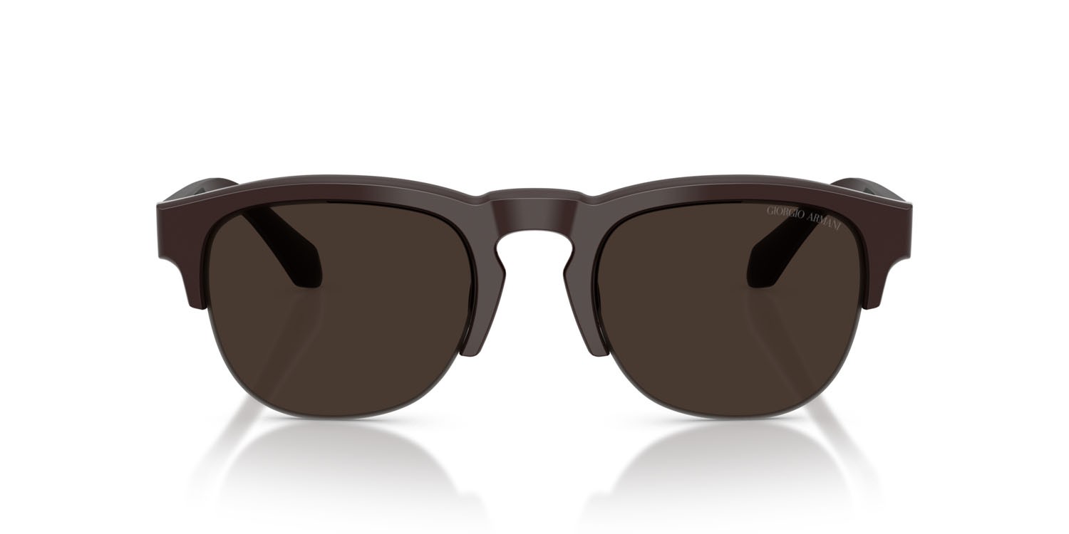 Occhiali da sole Giorgio Armani AR 8238 (622073) colore marrone forma pantos lenti marrone