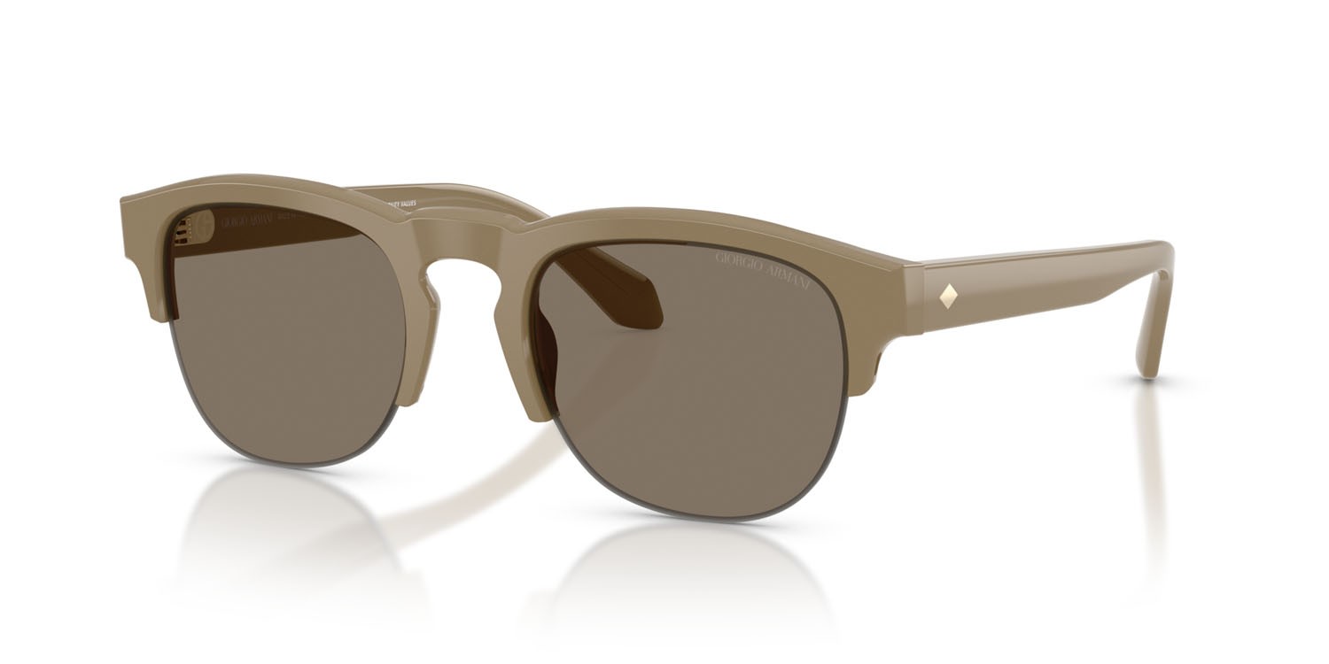 Occhiali da sole Giorgio Armani AR 8238 (622273) colore beige forma pantos lenti marrone
