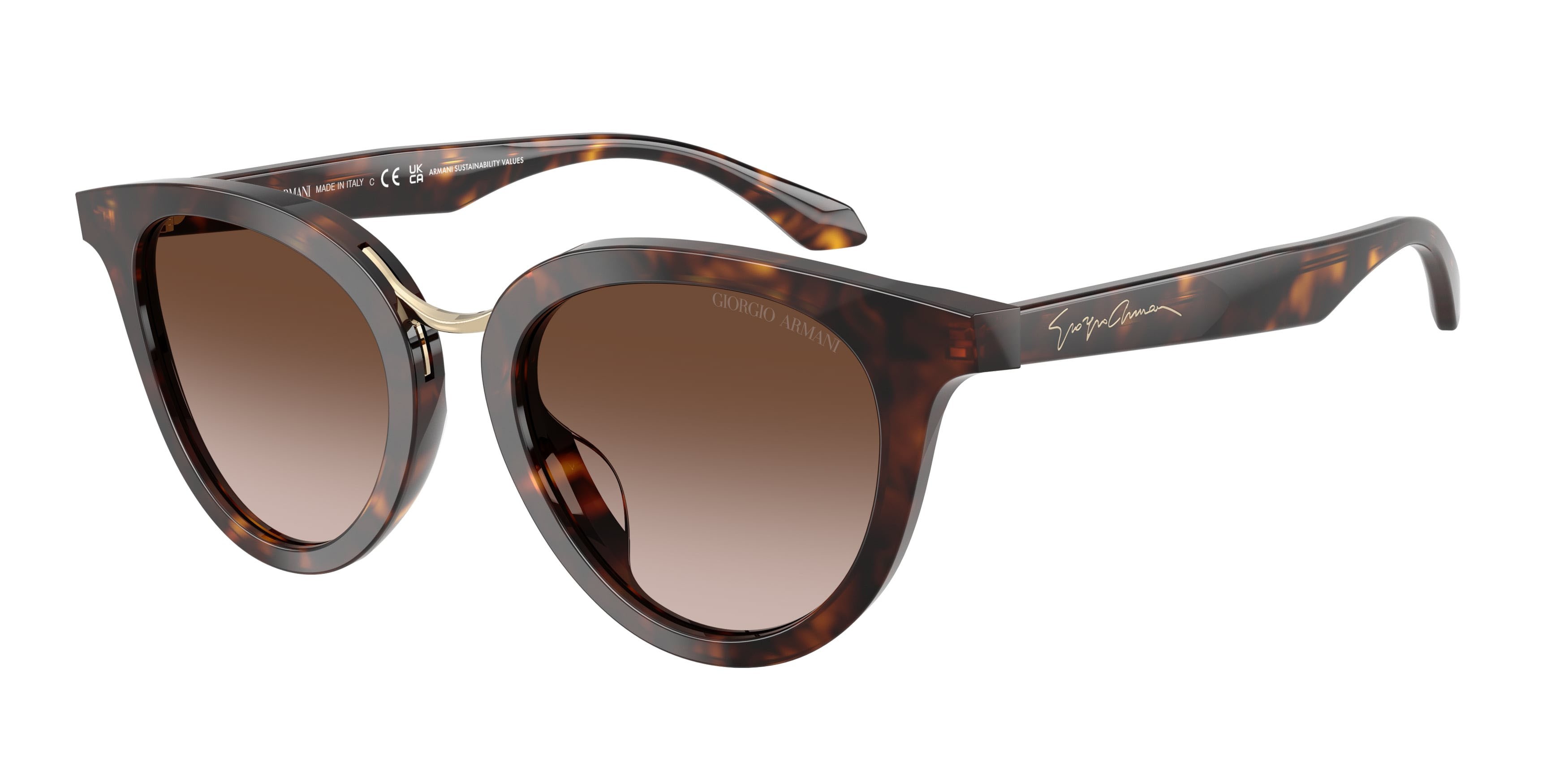 Sunglasses Giorgio Armani AR 8252U (612413) color havana shape round lenses marrone sfumato