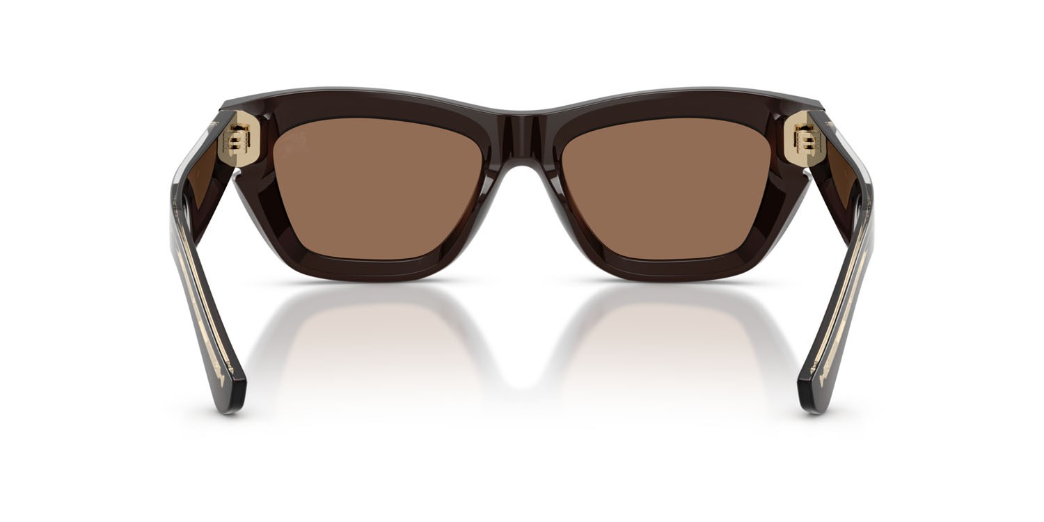 Sunglasses Burberry BE 4454 (411673) color marrone shape cat eye lenses marrone scuro
