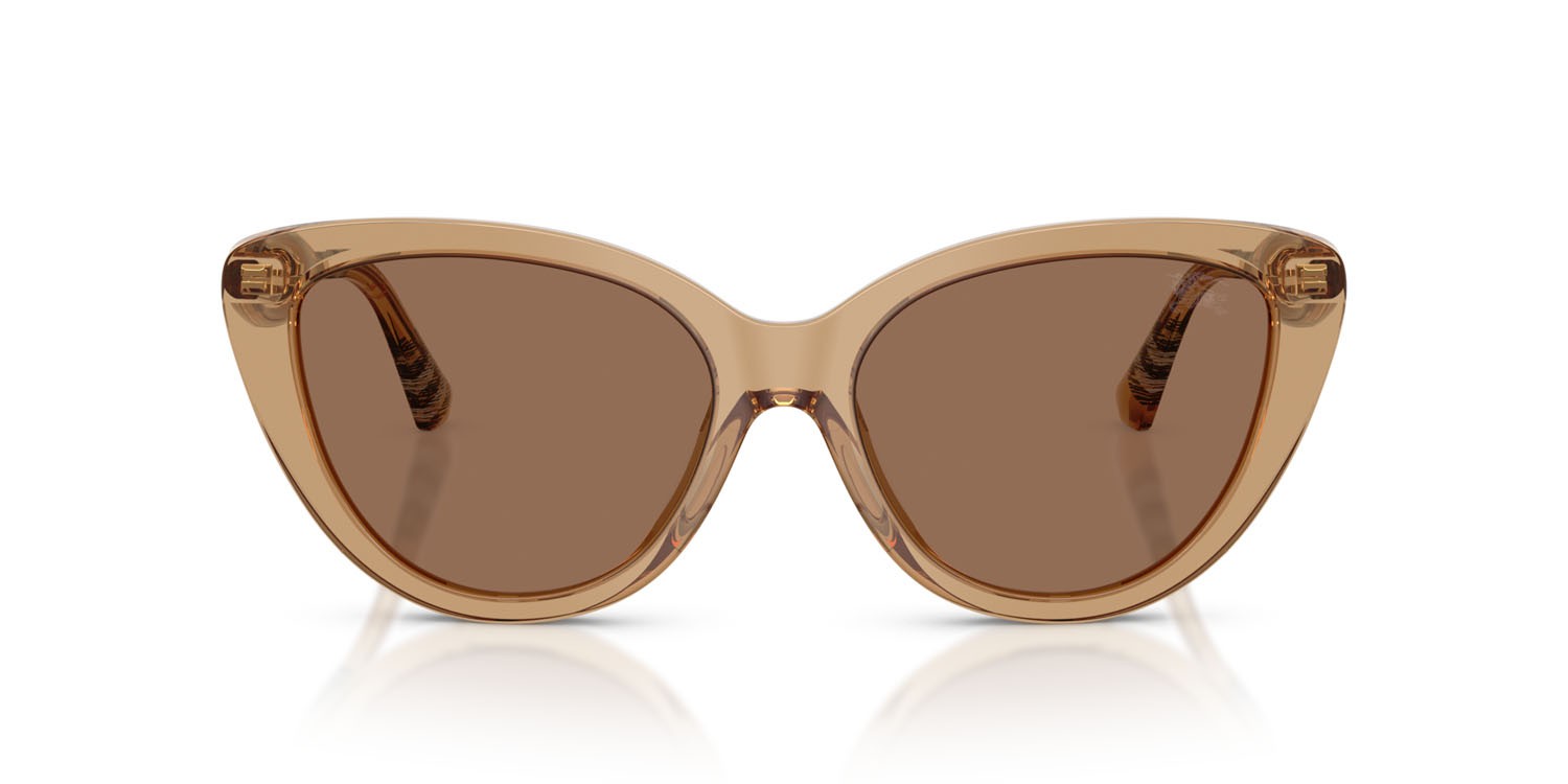 Sunglasses Burberry BE 4457 (416473) color beige shape cat eye lenses marrone scuro